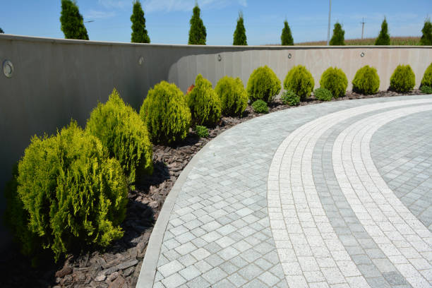 Best Luxury Driveway Paving Solutions in Jackson, SC